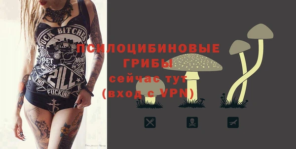 Альфа ПВП Белокуриха
