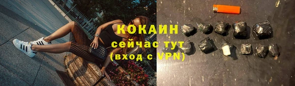 Альфа ПВП Белокуриха