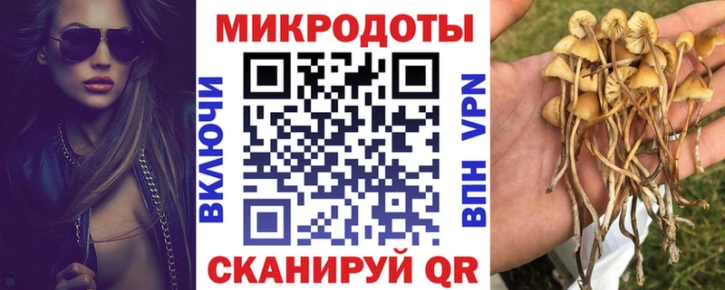 Галлюциногенные грибы мицелий мега ссылки Очёр